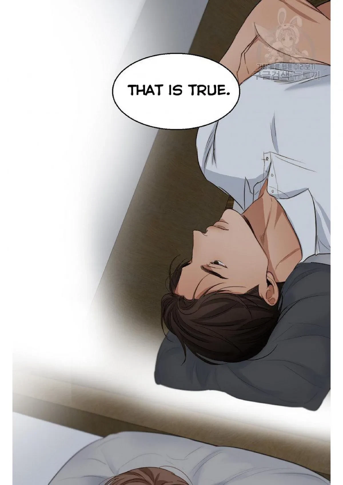 Chapter 29, page 17