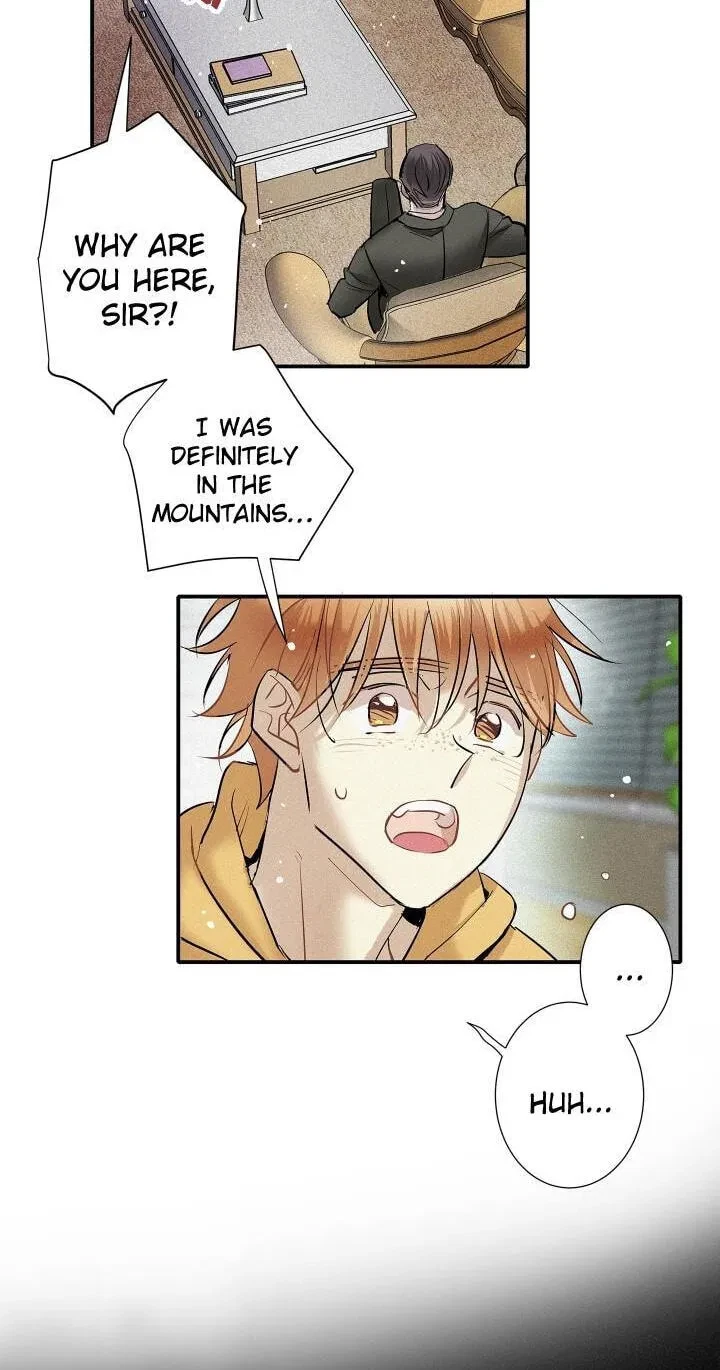 Chapter 96, page 11