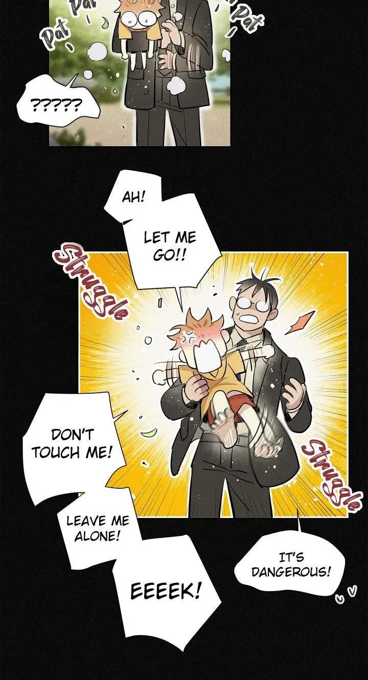 Chapter 96, page 21