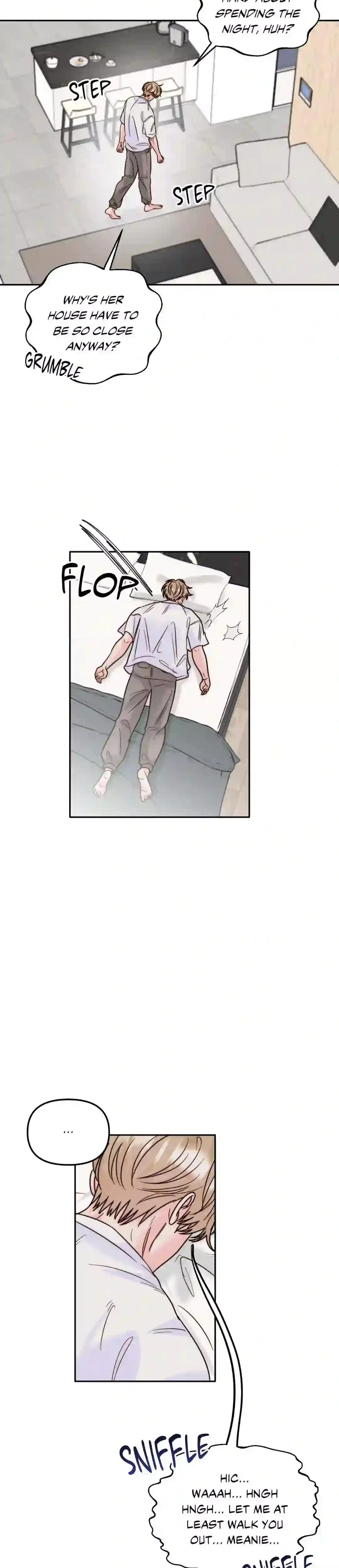 Chapter 1, page 13