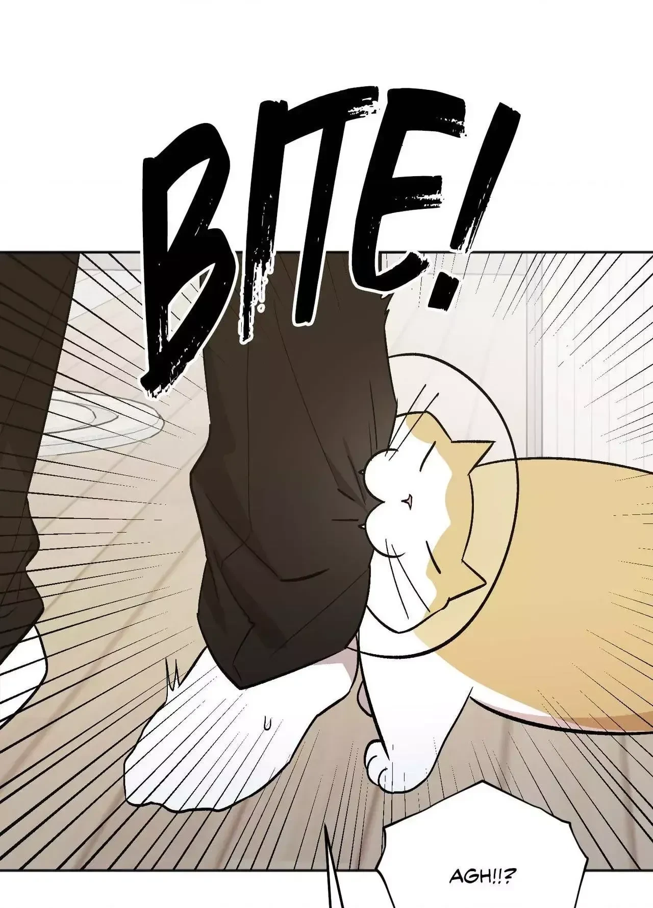 Chapter 35, page 19