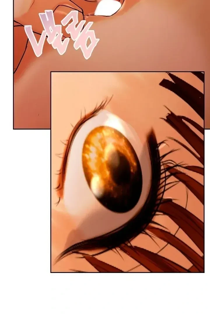 Chapter 1.1, page 114