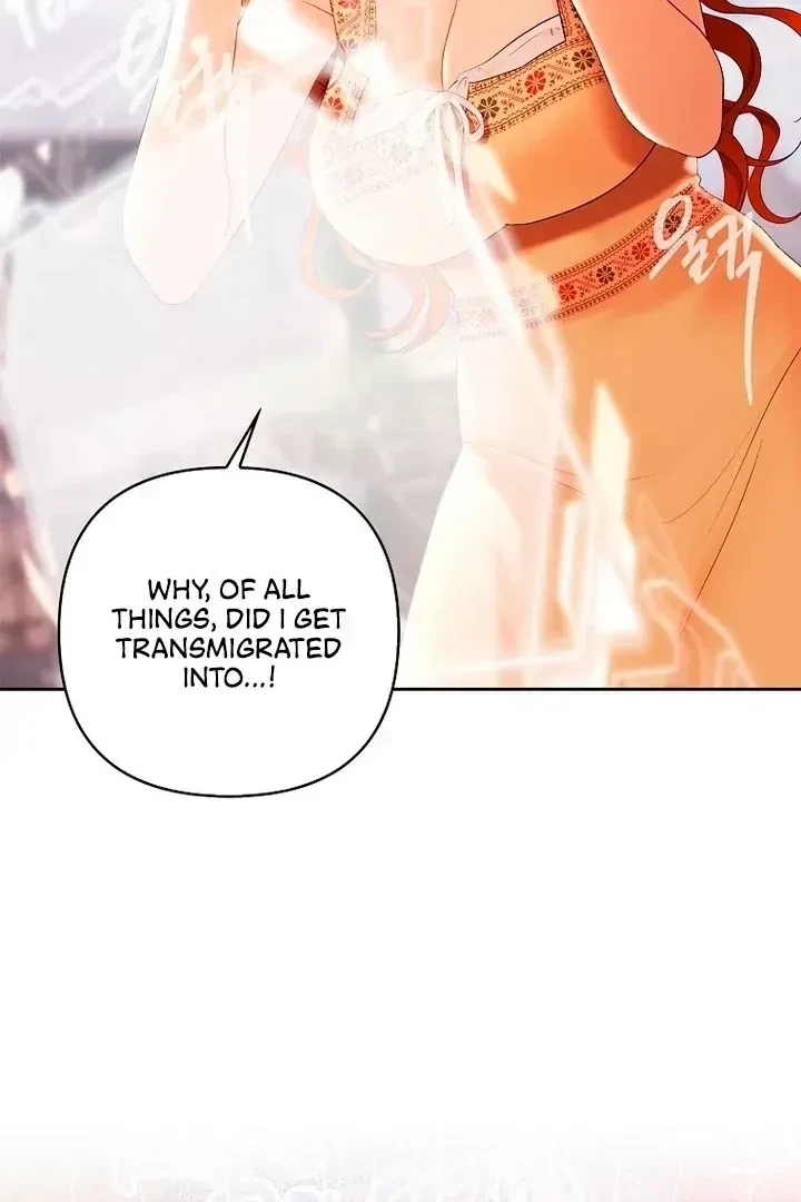 Chapter 1.1, page 46