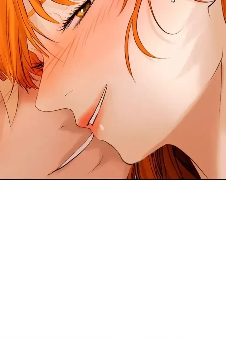 Chapter 1.1, page 66