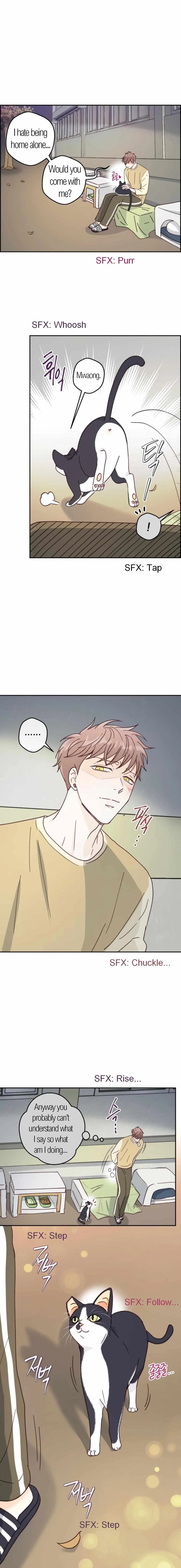 Chapter 13, page 13