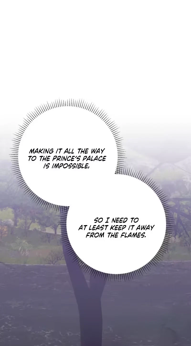 Chapter 25, page 51