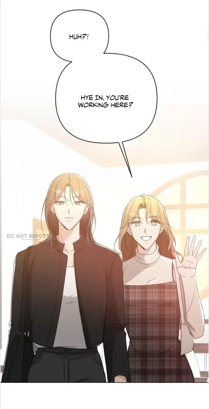 Chapter 2, page 17