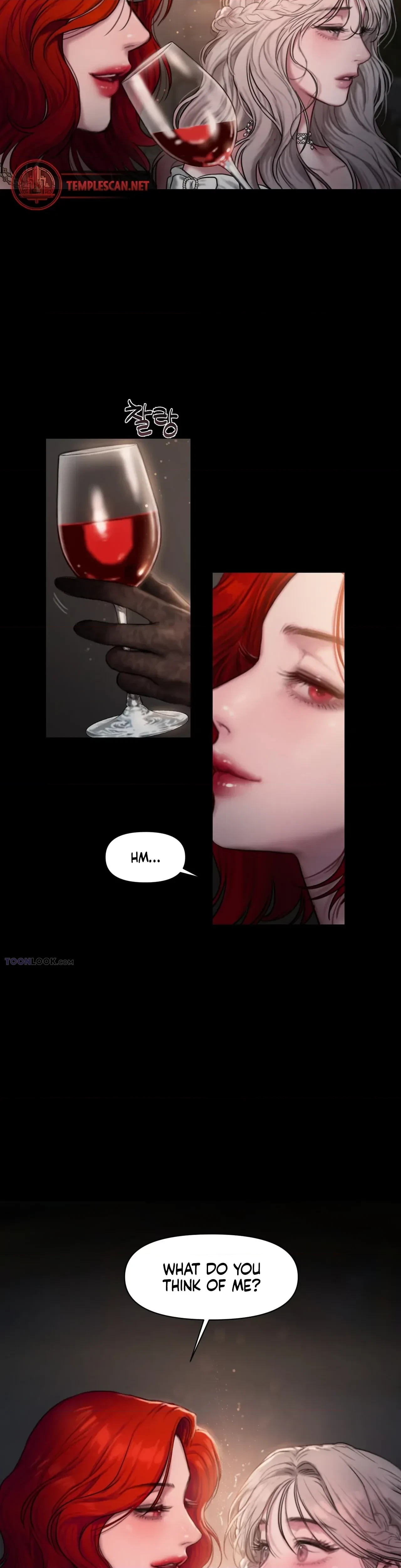 Chapter 2, page 16