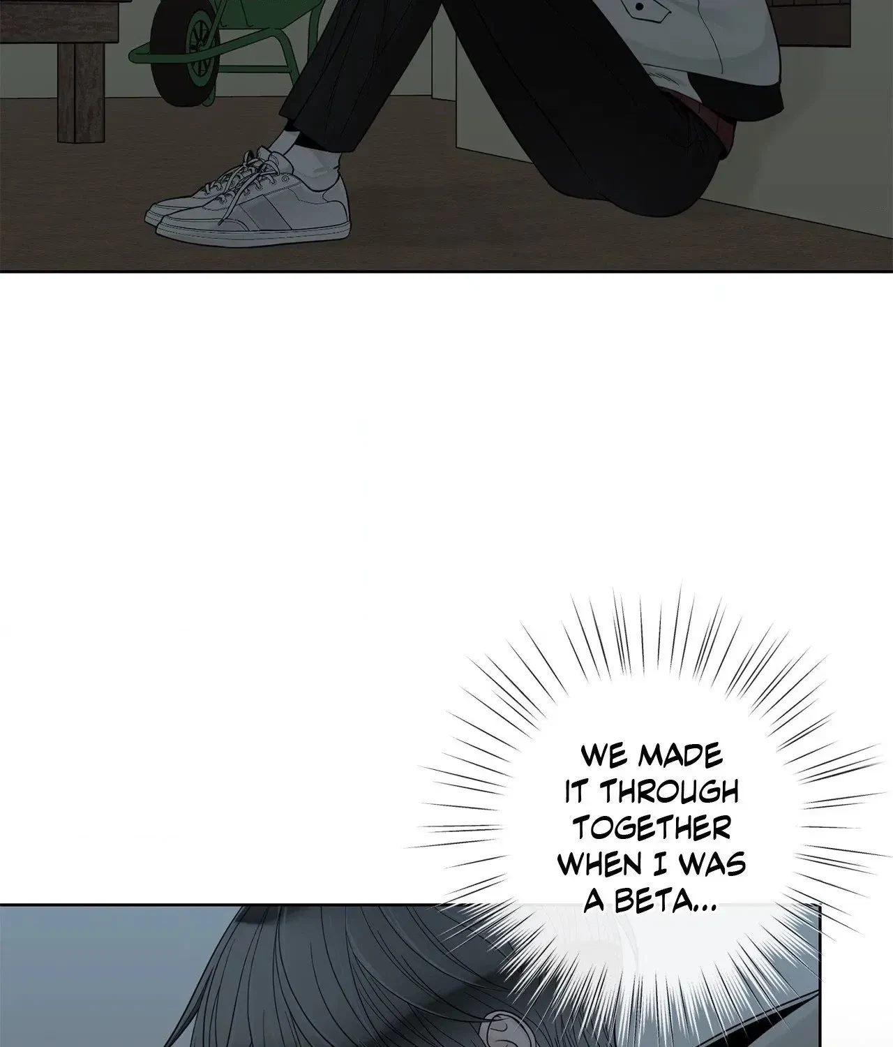 The Alpha's Mate Chapter 54, page 100