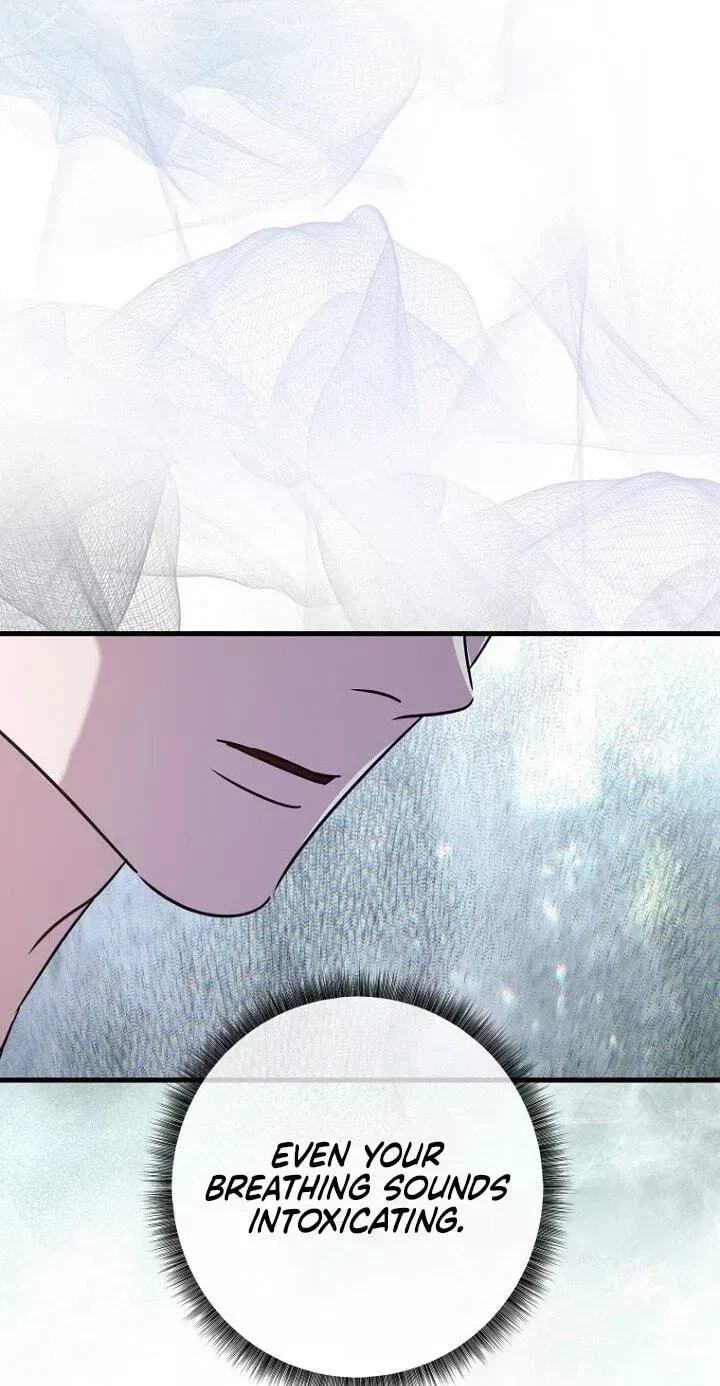 Chapter 19, page 61