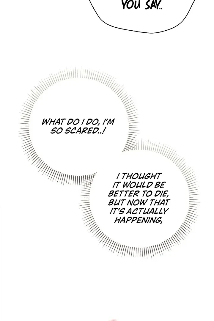 Chapter 2, page 114