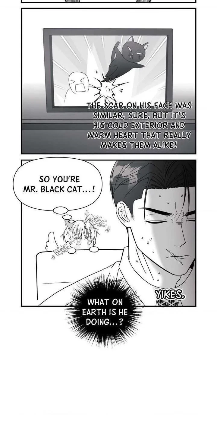 Chapter 40.6, page 5