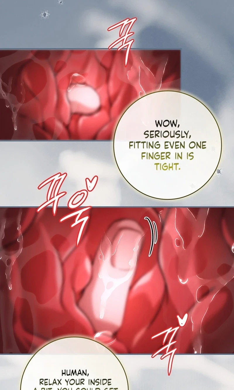 Chapter 3, page 68