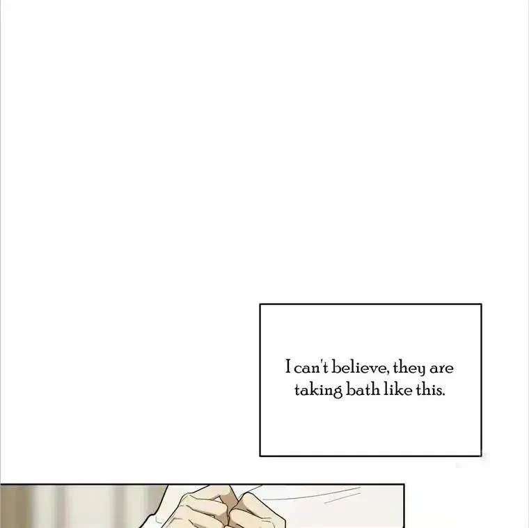 Chapter 4.8, page 96