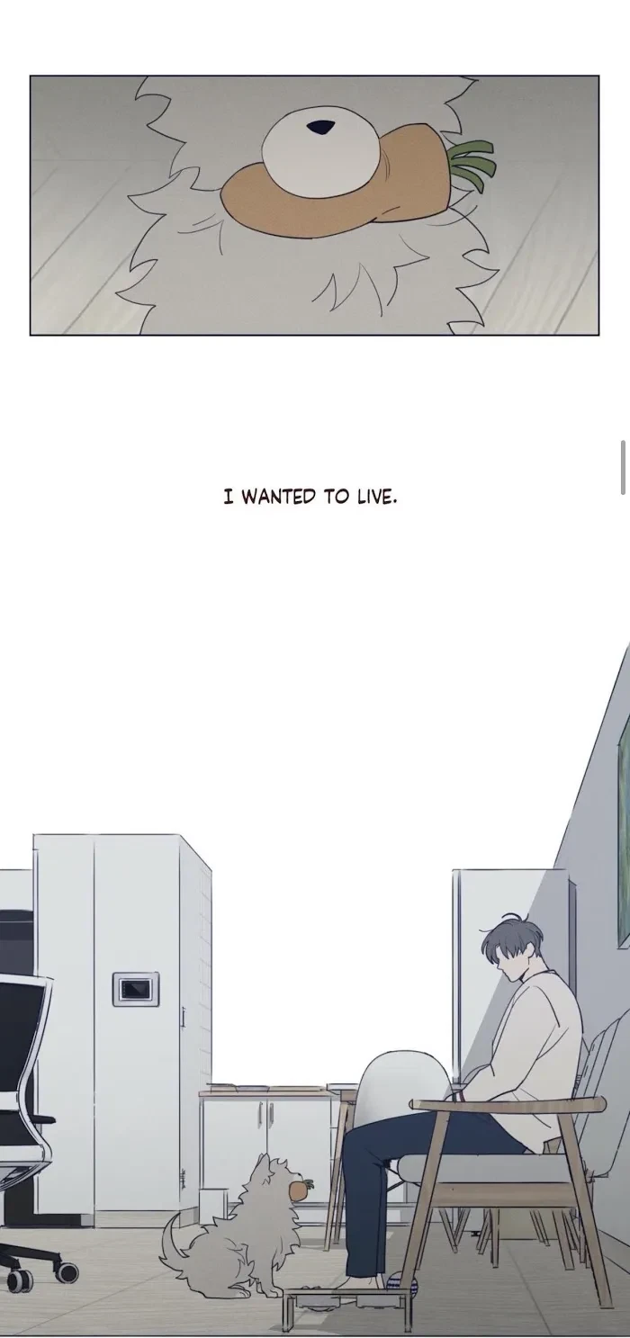 Chapter 38, page 11