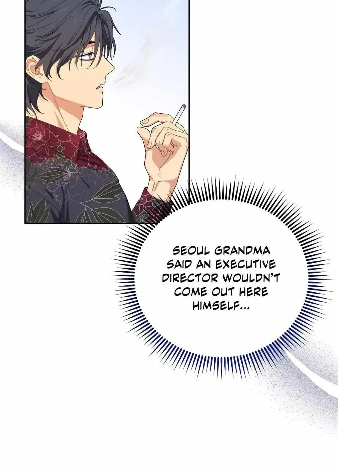 Chapter 3.9, page 48