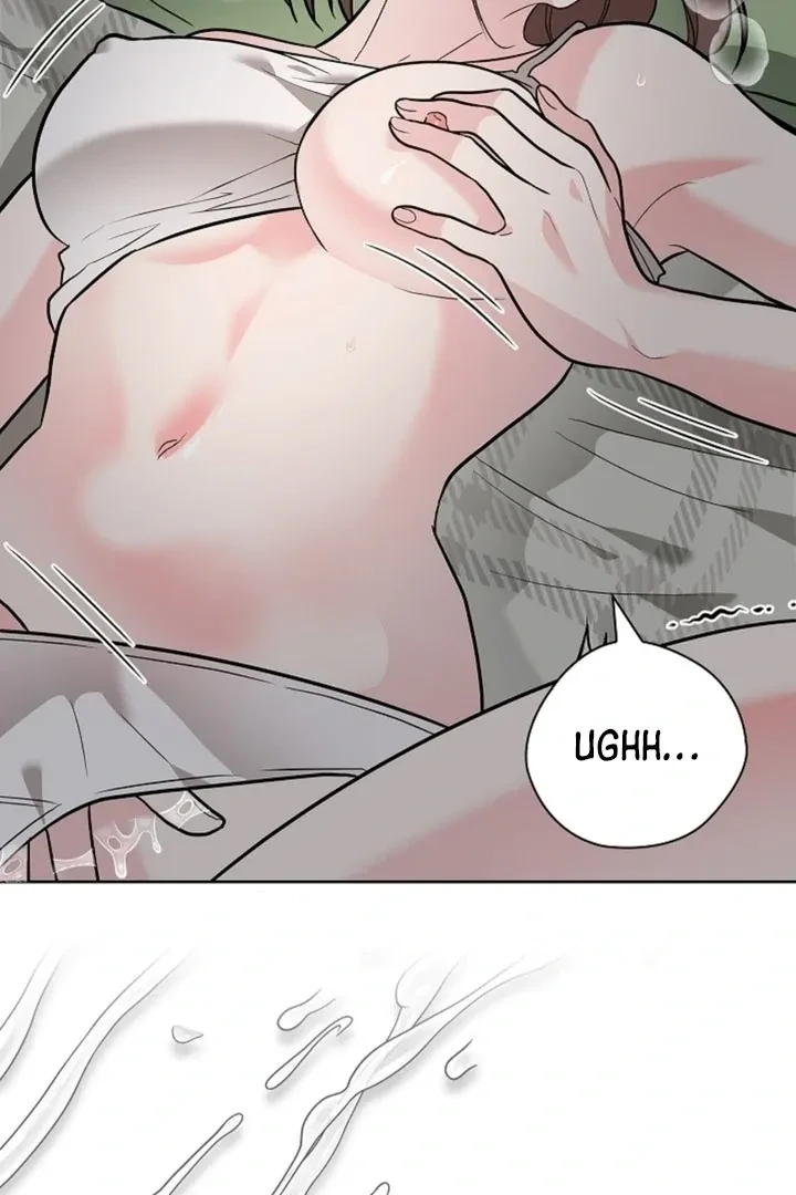 Chapter 1, page 19