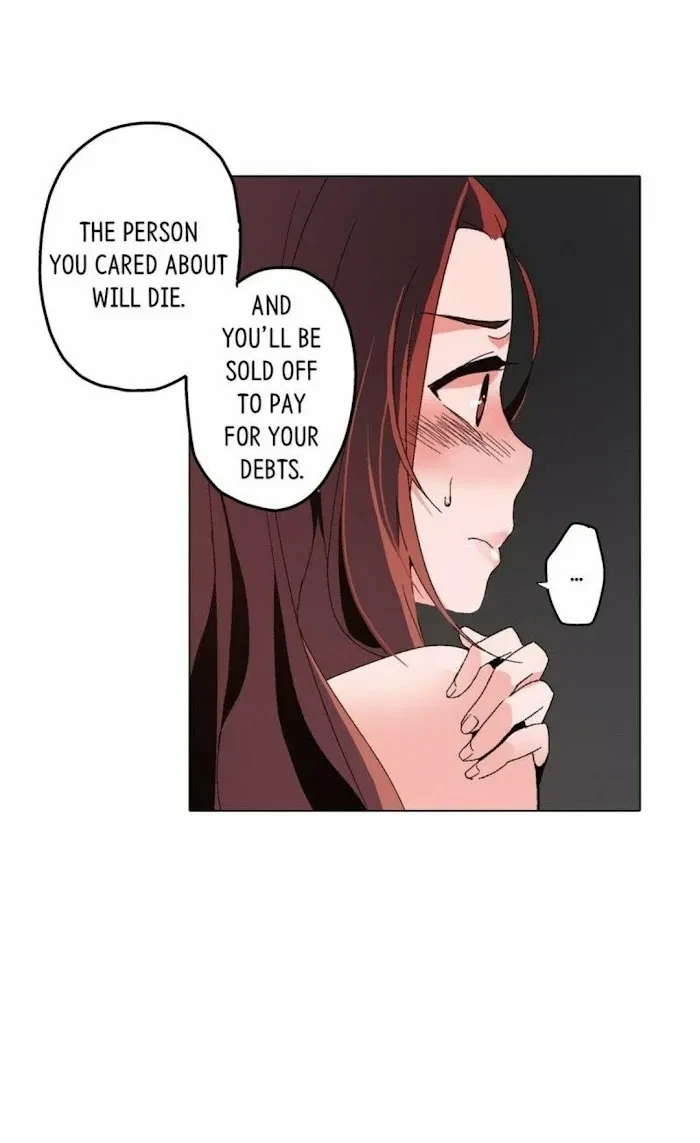 Chapter 1, page 13