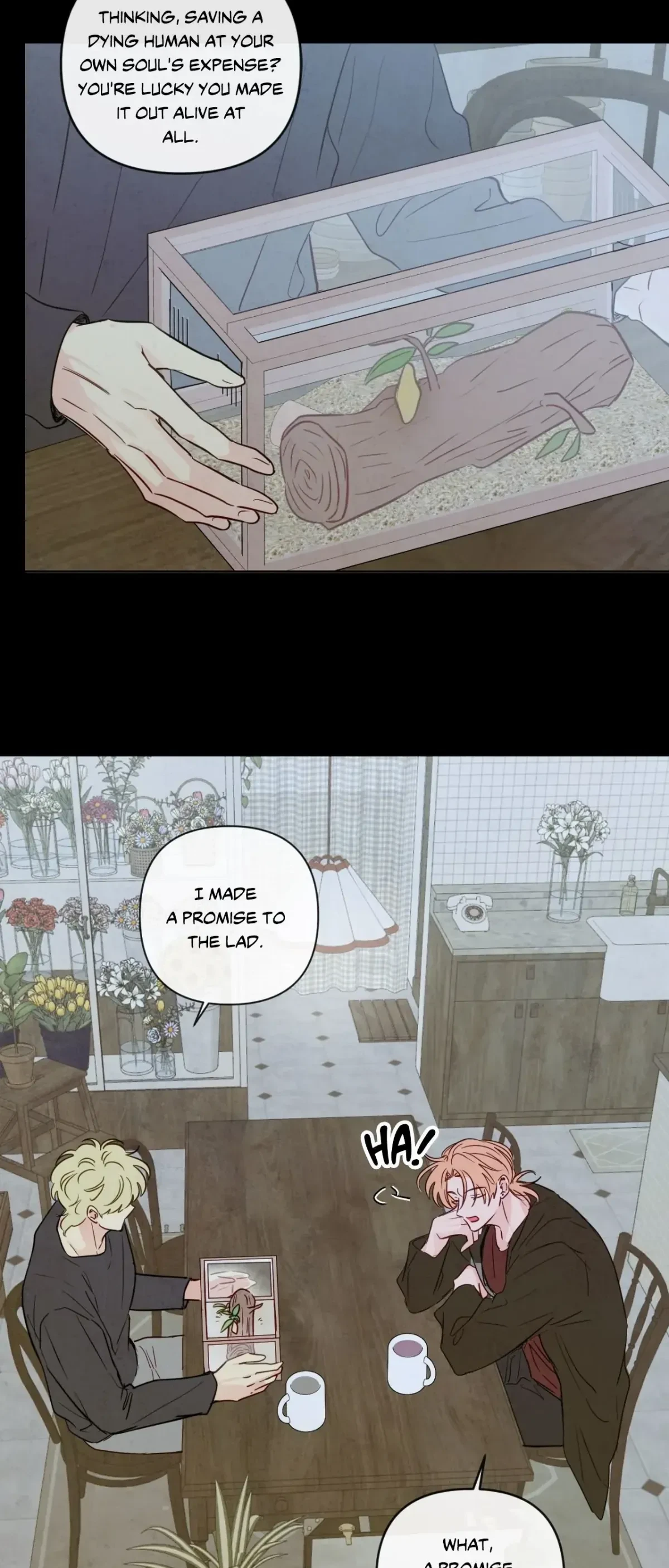 Chapter 43, page 39