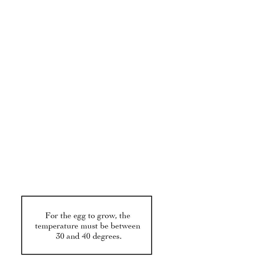 Chapter 13, page 78