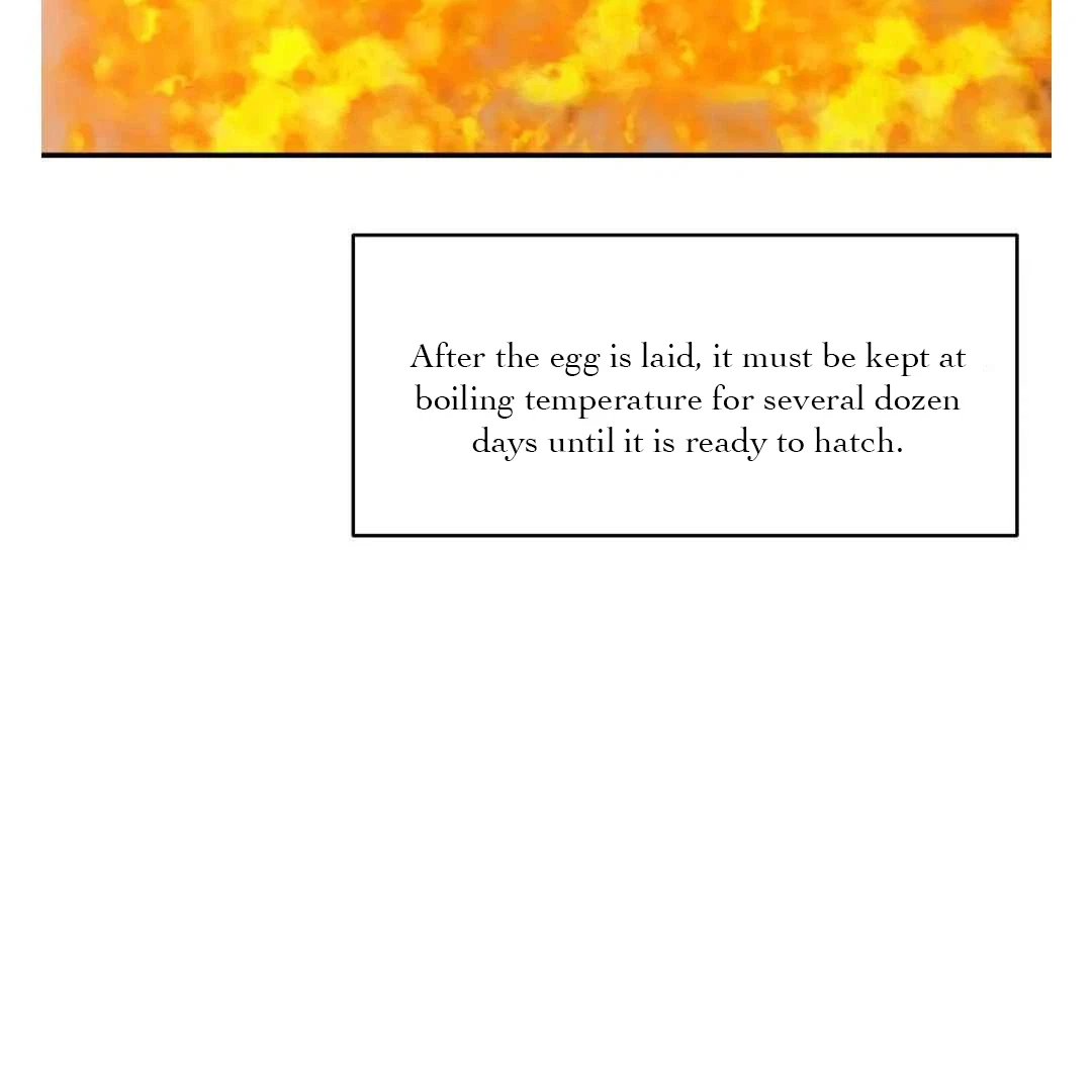 Chapter 13, page 80