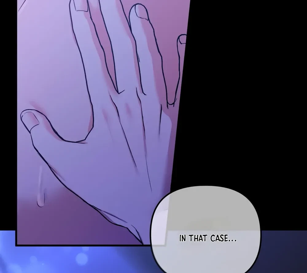 Chapter 1, page 17