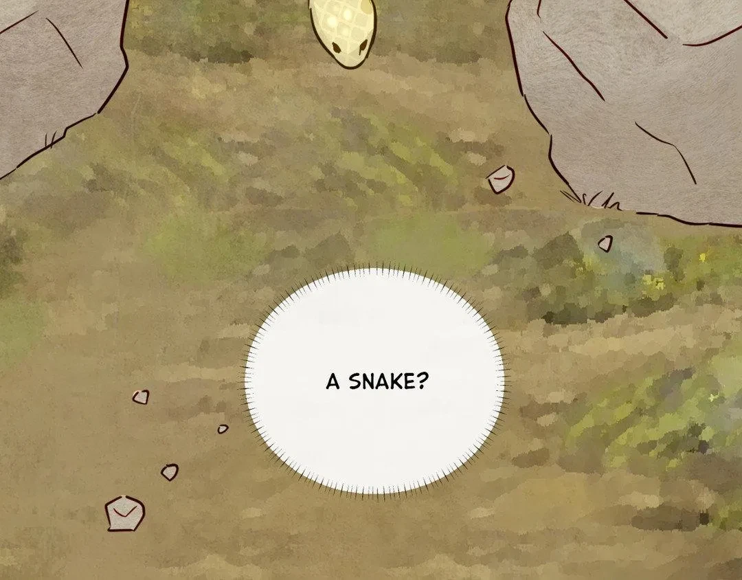 Chapter 1, page 97