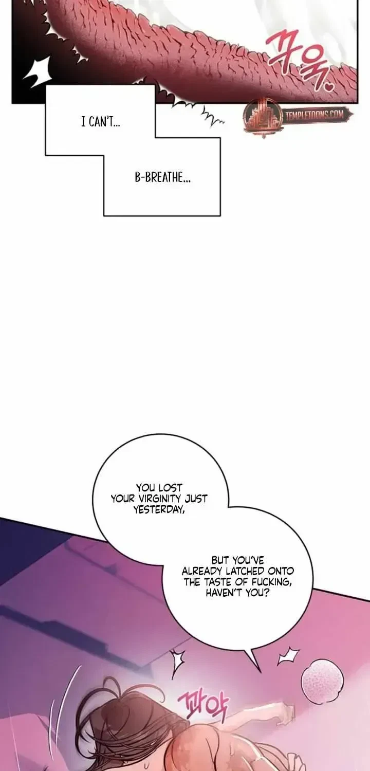 Chapter 1.2, page 20