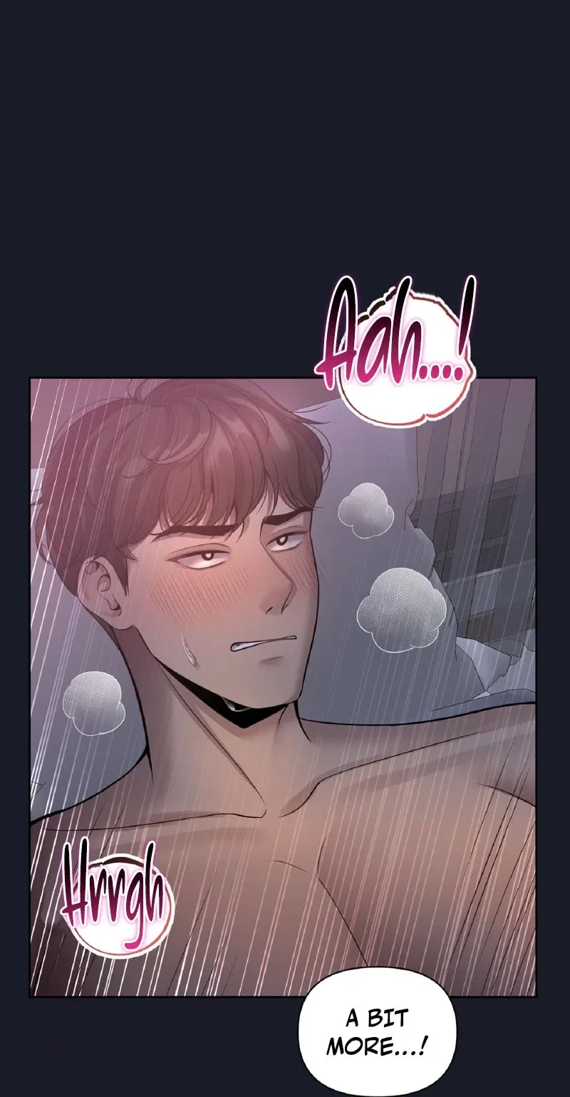 Chapter 1, page 19