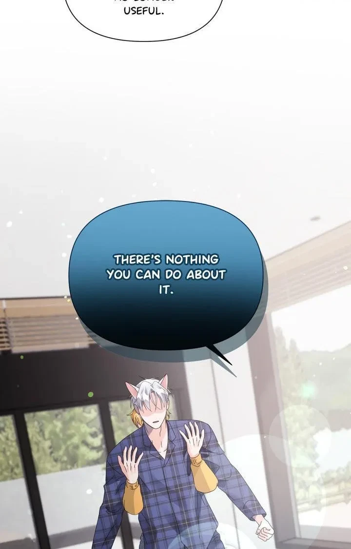 Chapter 41, page 62