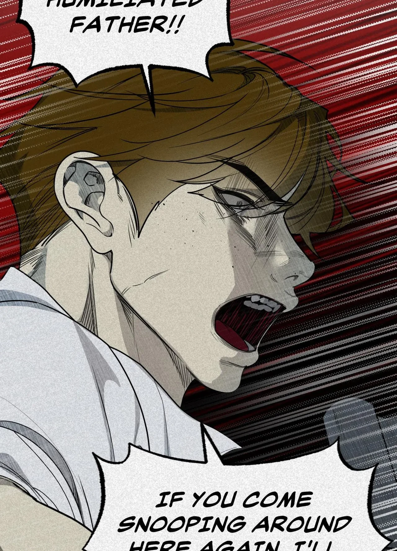 Chapter 4.06, page 14
