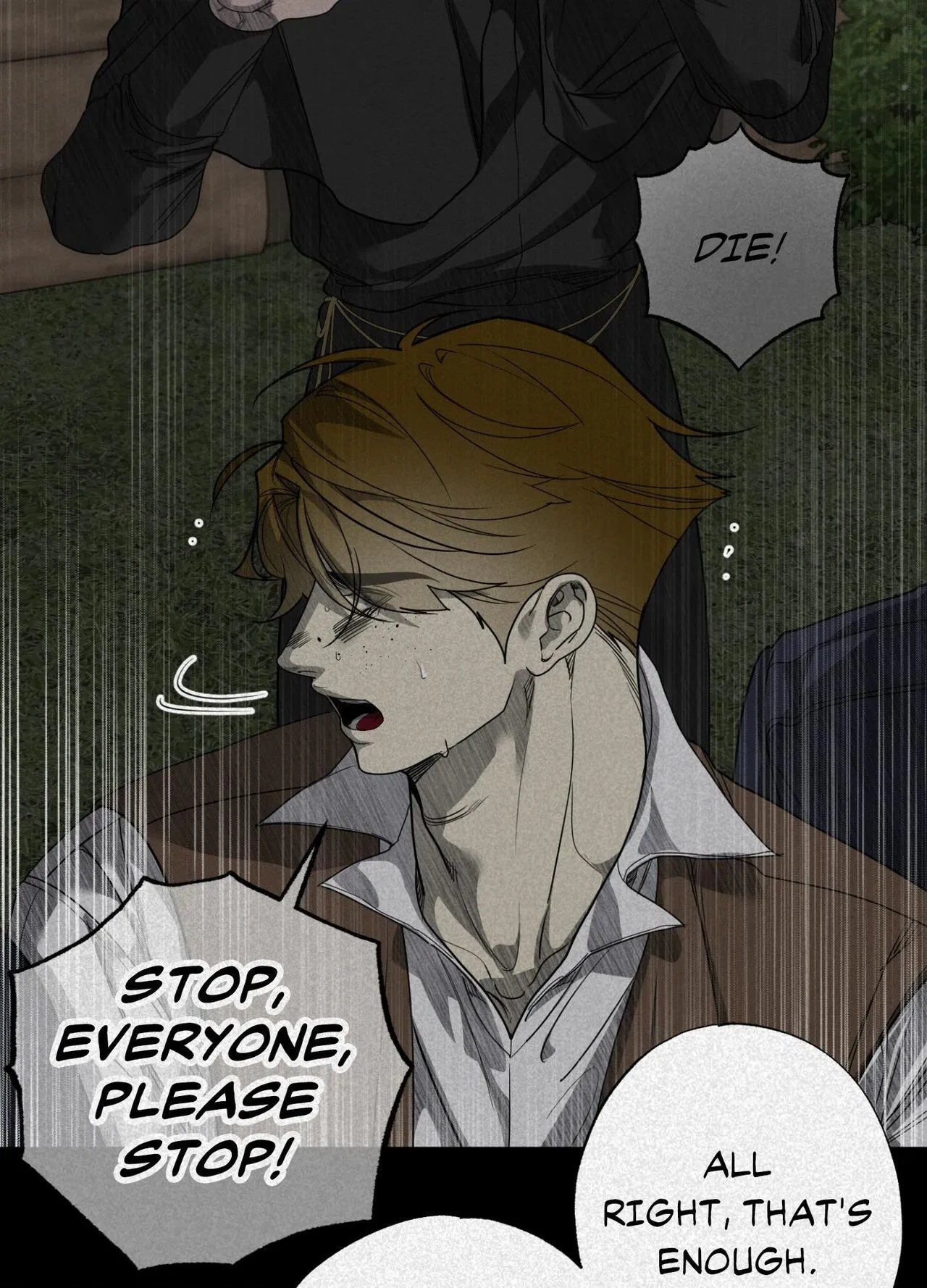 Chapter 4.06, page 71
