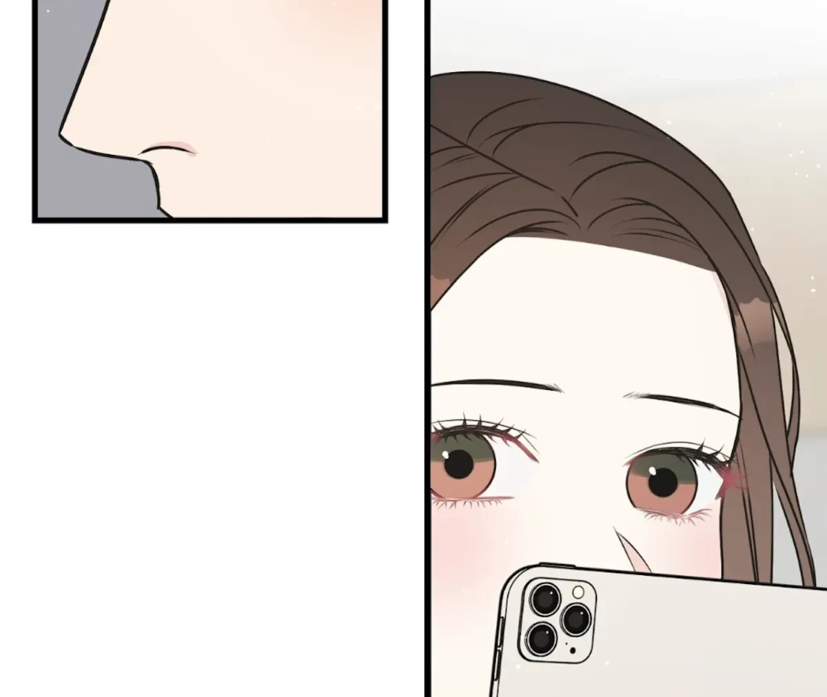 Chapter 2, page 33