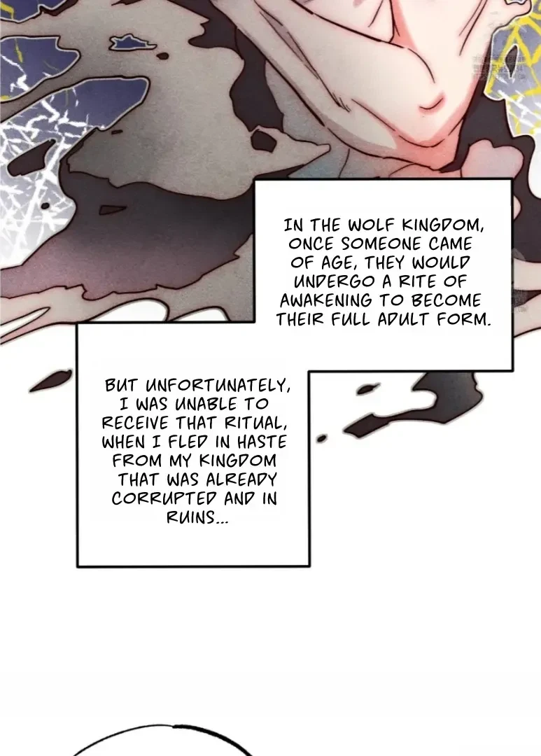Chapter 6, page 48