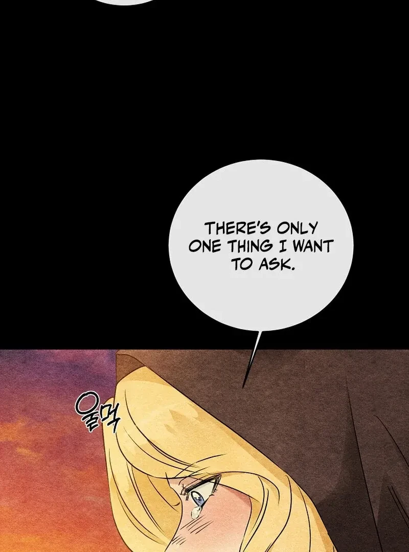 Chapter 7, page 101