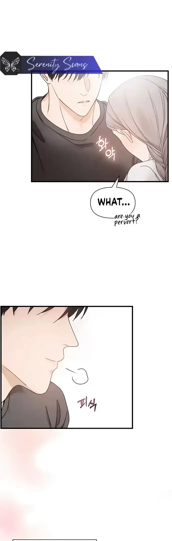 Chapter 4, page 17