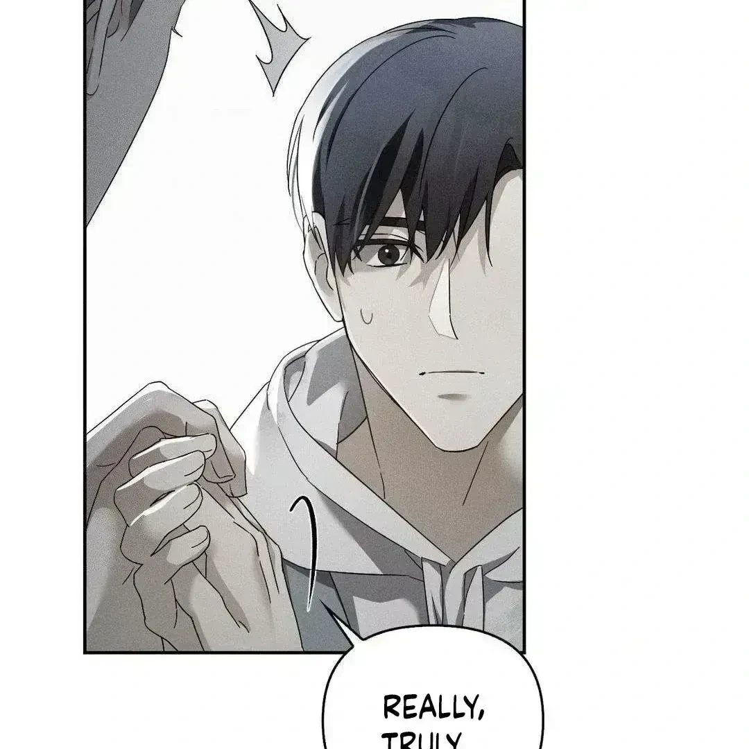 Chapter 2.5, page 101