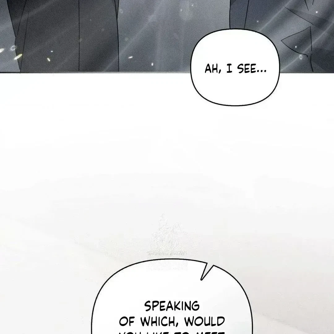 Chapter 2.5, page 116