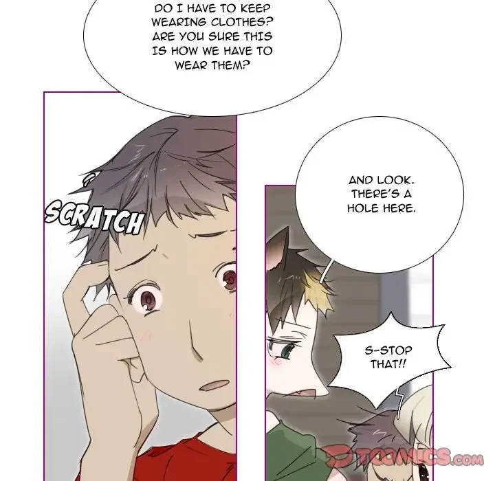 Chapter 3, page 15