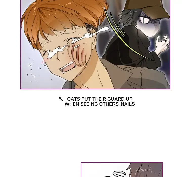 Chapter 3, page 37