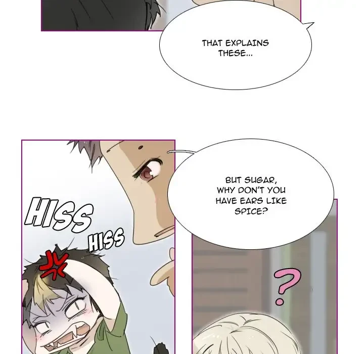 Chapter 3, page 5