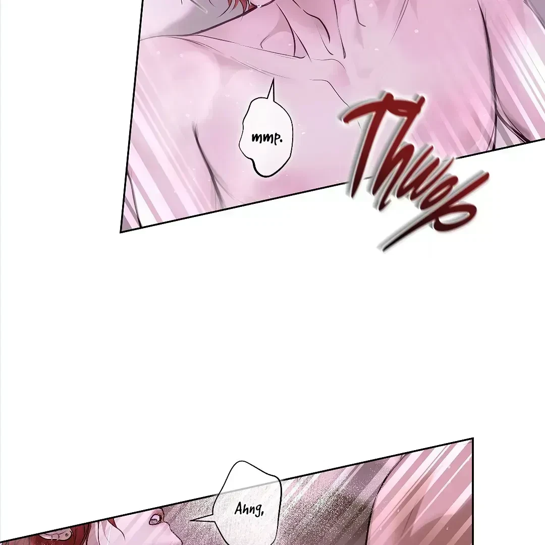 Chapter 2.4, page 21
