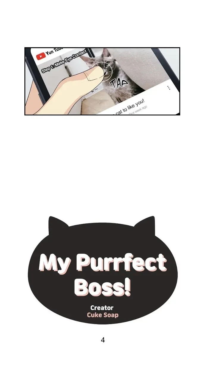 Chapter 4, page 4