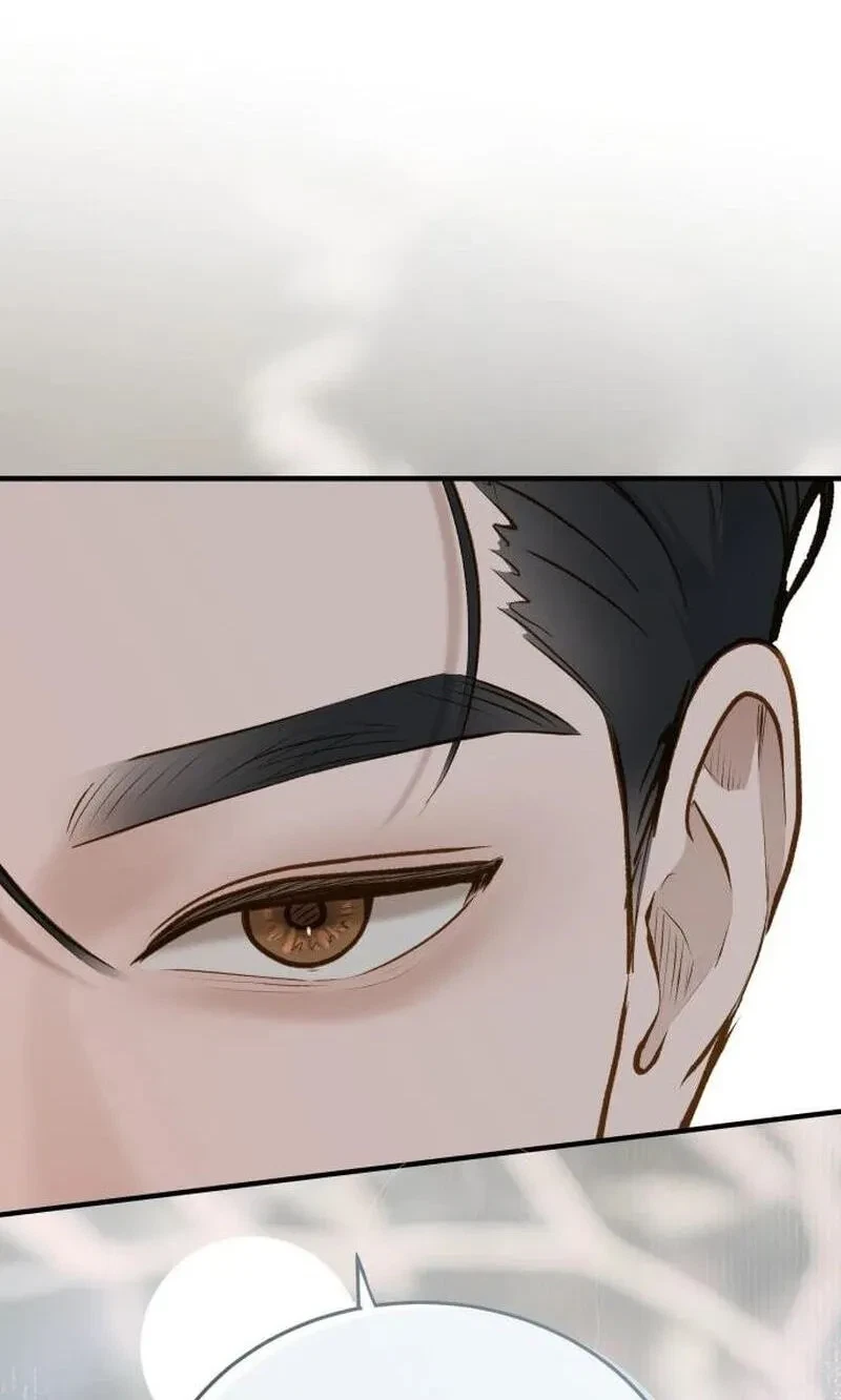 Chapter 91, page 106