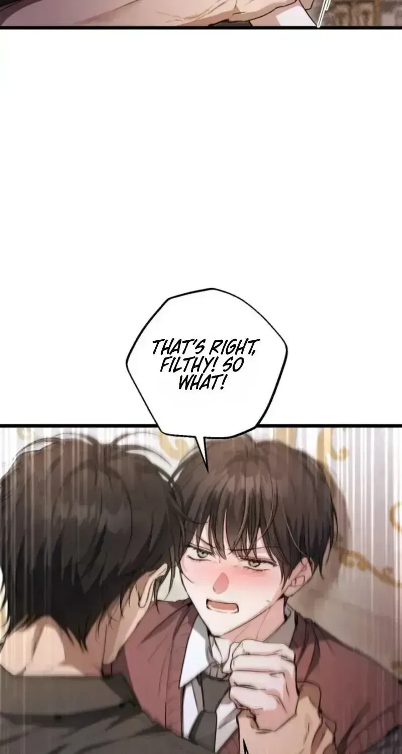 Chapter 2.5, page 74