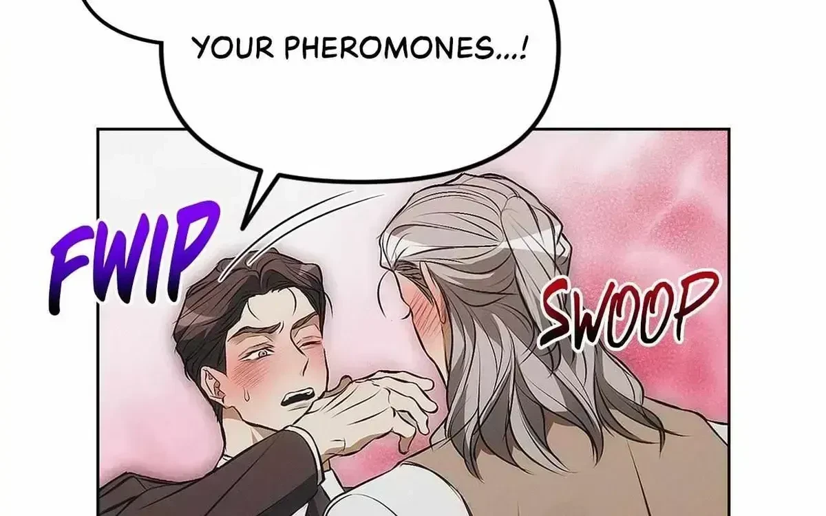 Chapter 2.8, page 99
