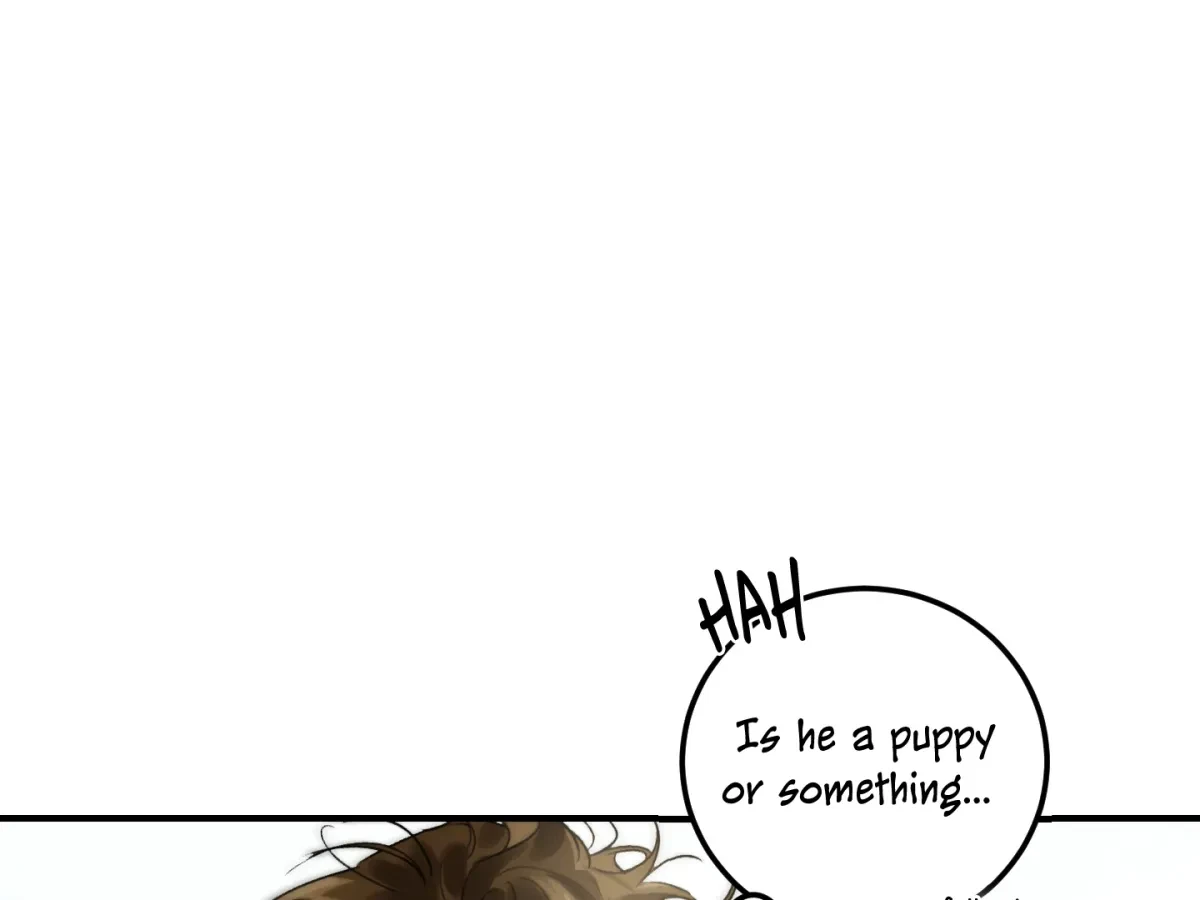 Chapter 2, page 51
