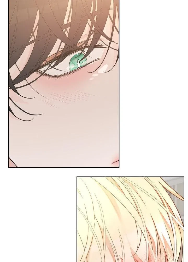 Chapter 25, page 85