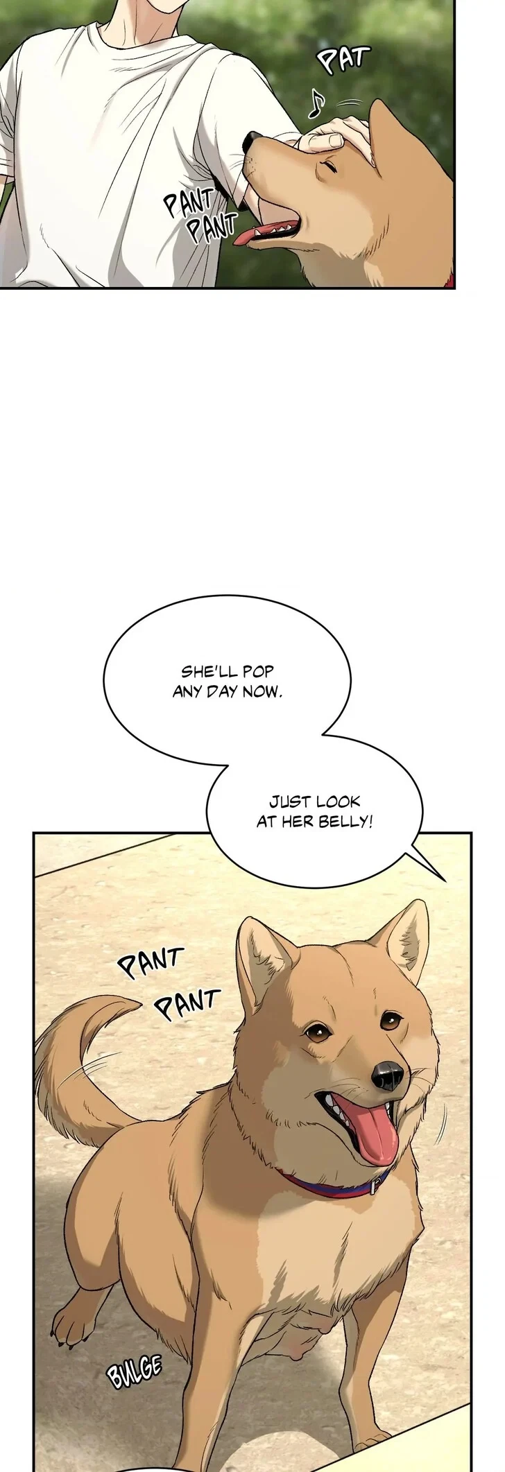 Chapter 60, page 20