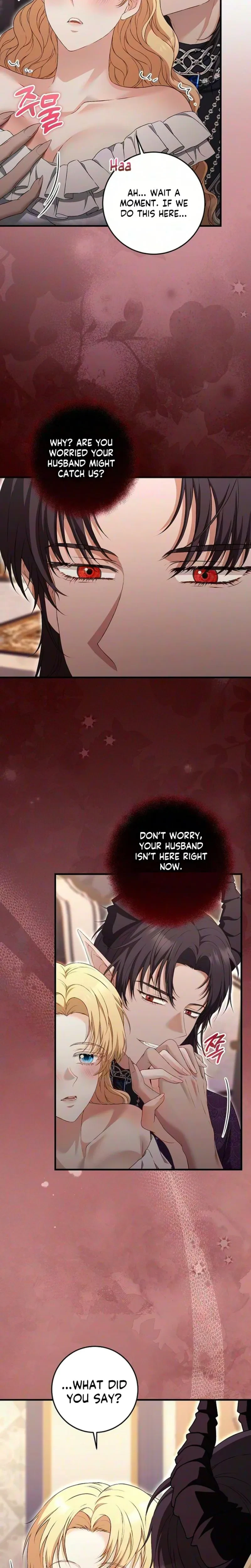 The Covert Of The Countess Chapter 27, page 17